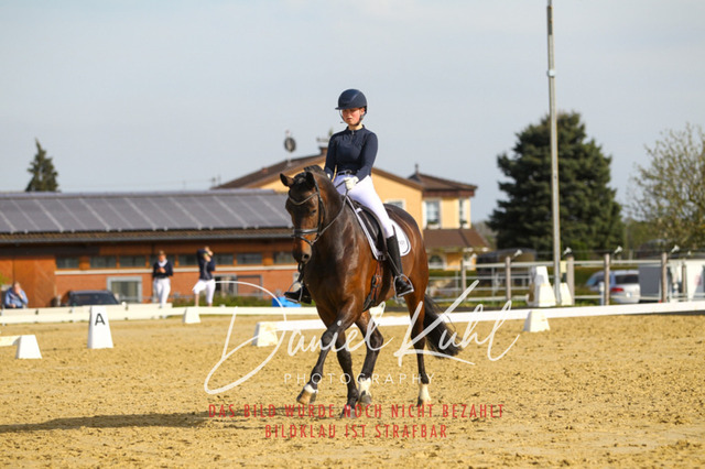 DKP43384 | Turniersportfotografie; Pferdefotografie; Dressurfotografie