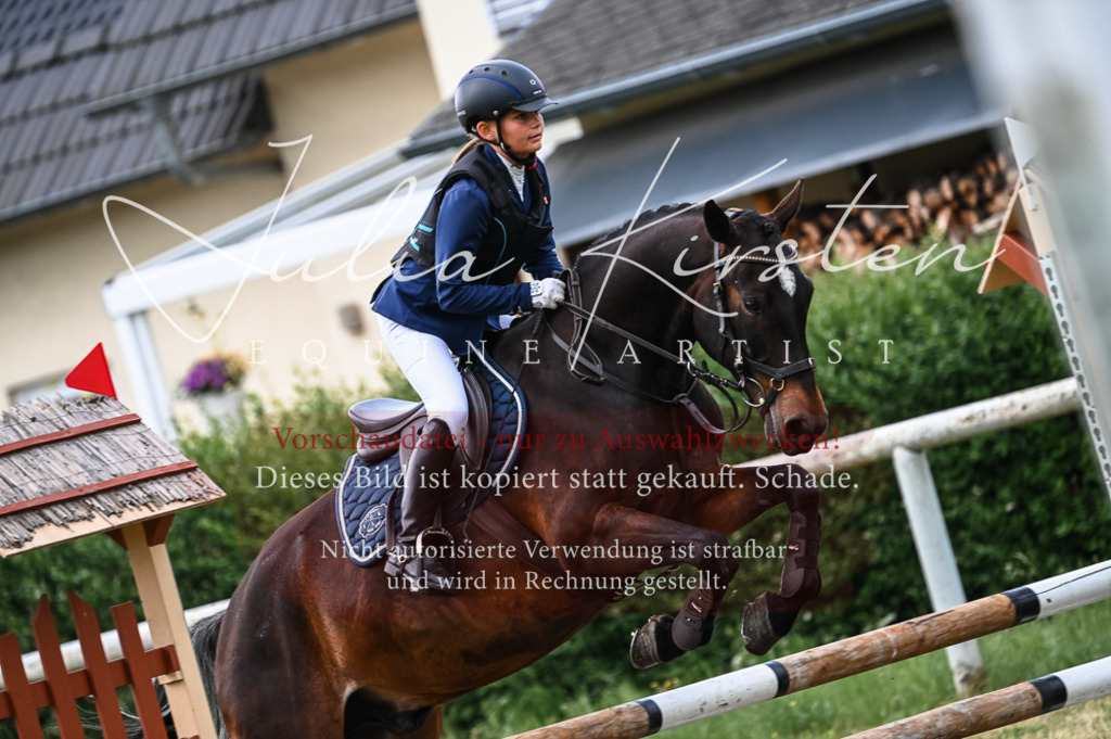 DSC_8235 | Pferde- und Turnierfotografie in Westsachsen. Pferdeportraits, Auftragszeichnungen und intuitive Kunst.