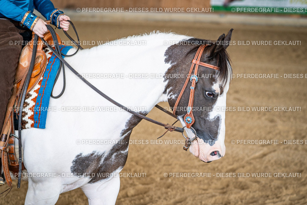 DSC07950 | Pferdegrafie