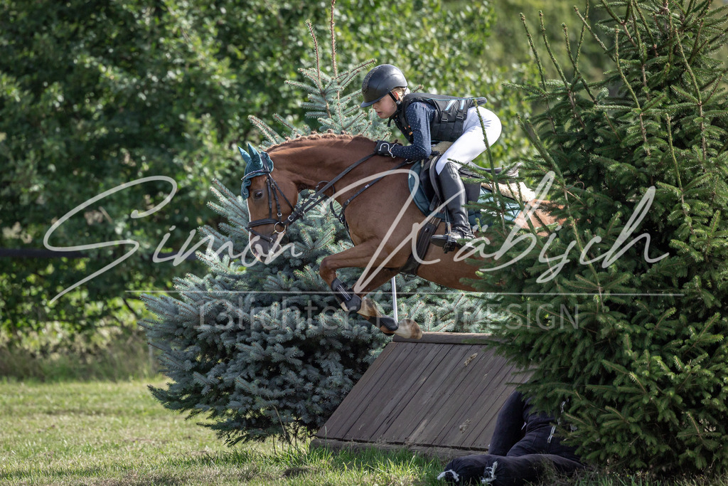 20250907-_3LI9597 | Tierfotografie Pferde, Hunde, Katzen, Haustiere.
Turnierfotografie Reitturniere, Reiten, Springreiten, Dressur in Hanau, dem Main-Kinzig-Kreis und dem Rhein-Main- Gebiet um Frankfurt