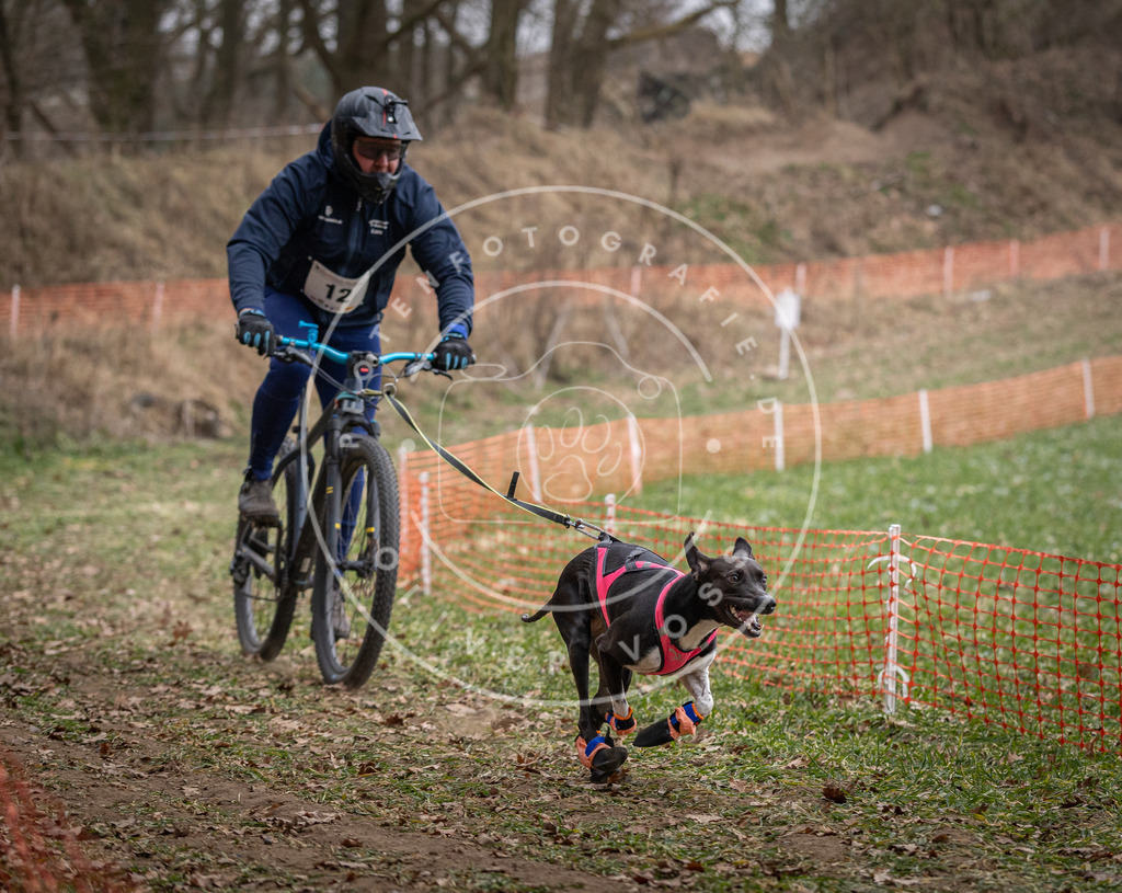 Pfotenfotografie_DV3A6355 | Hundefotografie, Tierfotograf, Pfotenfotografie, Fotoshooting Hund, Hunde Portrait, Hundesport, Hundeportraits, Heideshooting, Hunde, Sportfotograf, Hundefotograf, Turnierhundsport, THS,  - Realisiert mit Pictrs.com