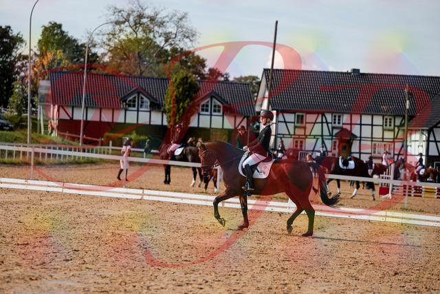 2026_10_03_Siefer-Hof_131021_Z63_72669522 | Professionelle Reitsport-, Turnier- und Eventfotografie von Robert Broda. Galerien mit ausgewählten und bearbeiteten Bildern direkt online ansehen und bestellen.