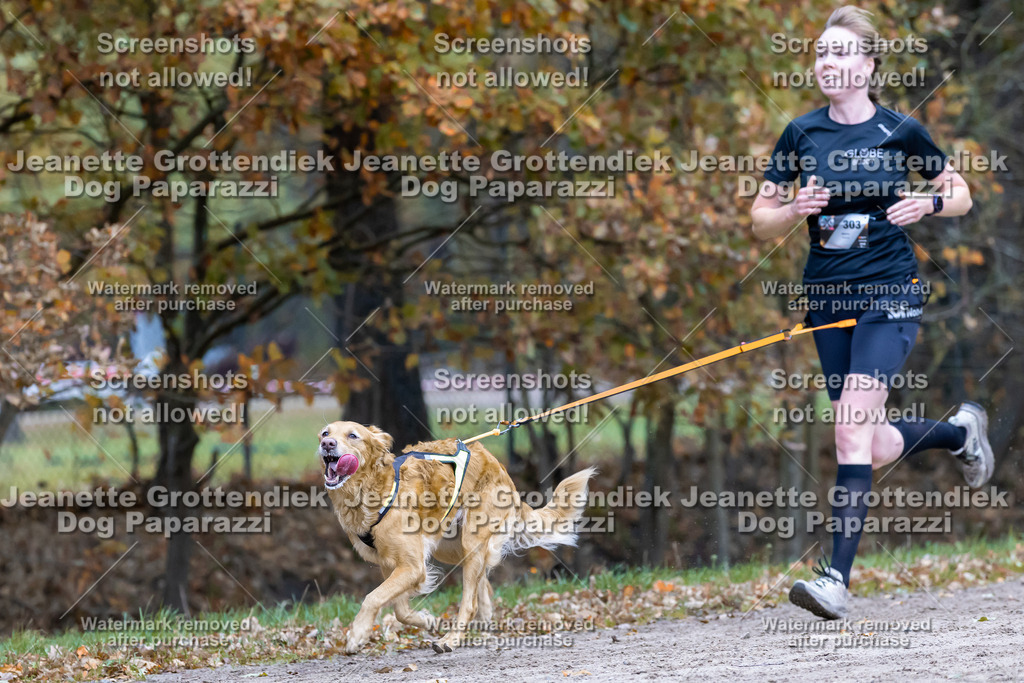 Dog Paparazzi - SD CaniX Championship 2025-542 | Dog Paparazzi Jeanette Grottendiek Fotografie & Videografie - Realisiert mit Pictrs.com