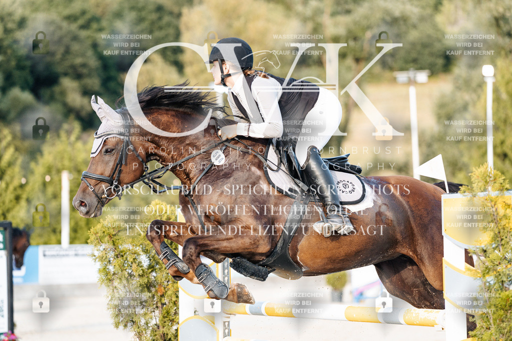 CK900842 | Turnierfotografie Pferdefotografie Trier Rheinland-Pfalz Pferdesport Reitsport Tierfotografie Sportfotografie Pferdevideo Pferdevideografie Equestrianvideography equestrianphotography  - Realisiert mit Pictrs.com