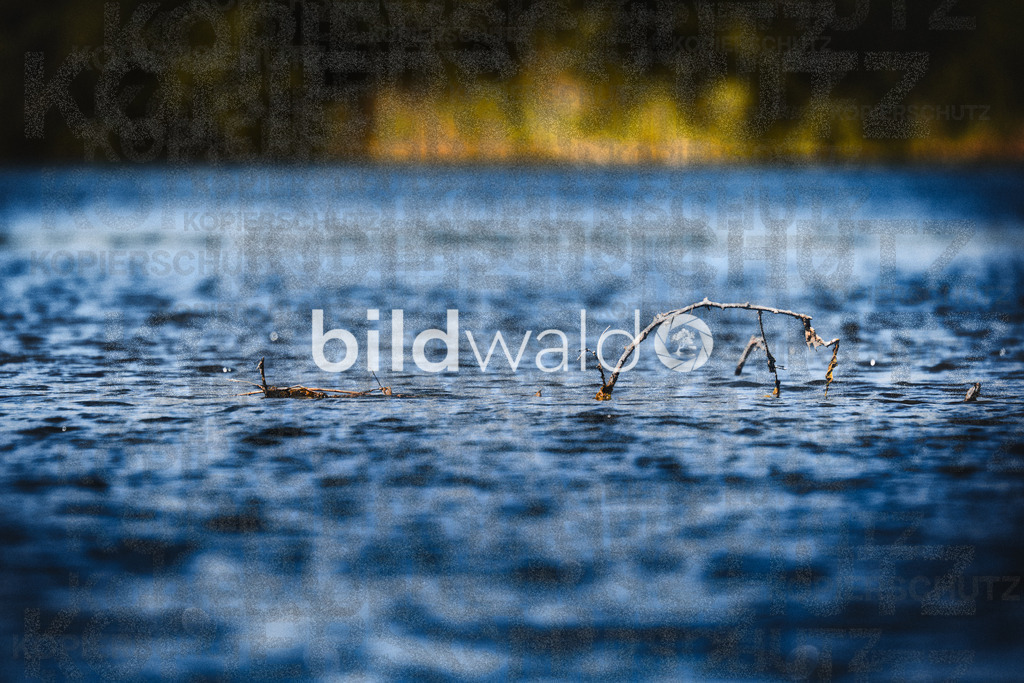 _A7_2505-111 | BILDWALD - eine Auswahl an Bildern von Thomas Perrotton zum bestellen und genießen. Alle Bilder von Thomas Perrotton - Alle Bilder mit einer SONY Kamera gemacht - SONY TAMRON SIGMA PHOTOSHOP LIGHTROOM BILDWALD Online kaufen Bilderwald Wandbilder - Realisiert mit Pictrs.com