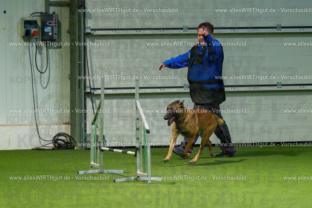 7R507495 | Professionelle Tierfotografie in Mönchengladbach von Daniel Wirth (allesWIRTHgut). Liebevolle & natürliche Bilder von Hunden & Katzen für unvergessliche Erinnerungen.