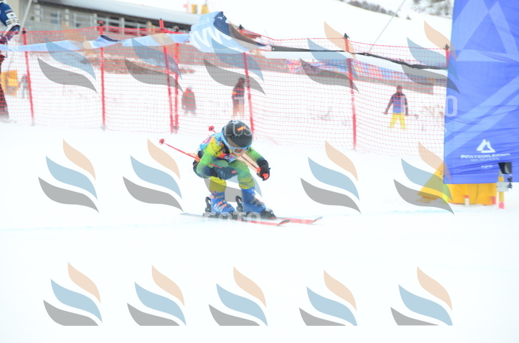 DSC_1282 | holidayphoto