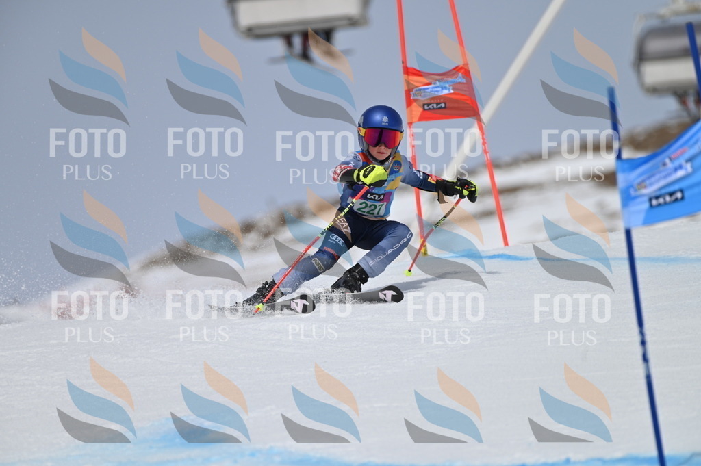 BGV_4478 | holidayphoto