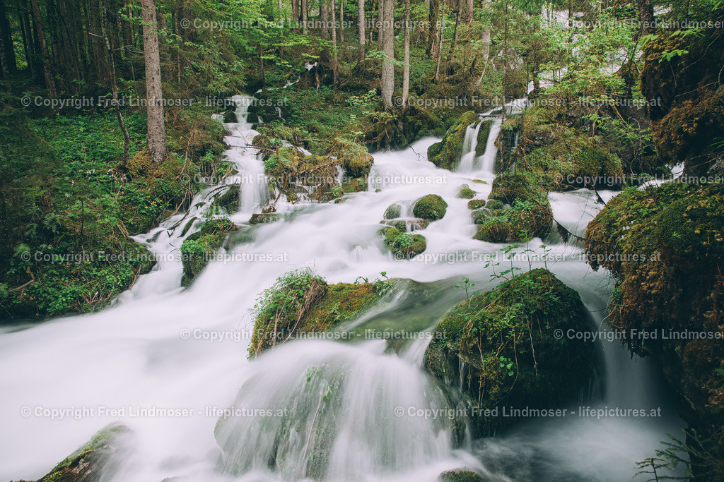 Klaefferquelle_IMG_8334 | Fotos und Fotoprodukte - Realisiert mit Pictrs.com