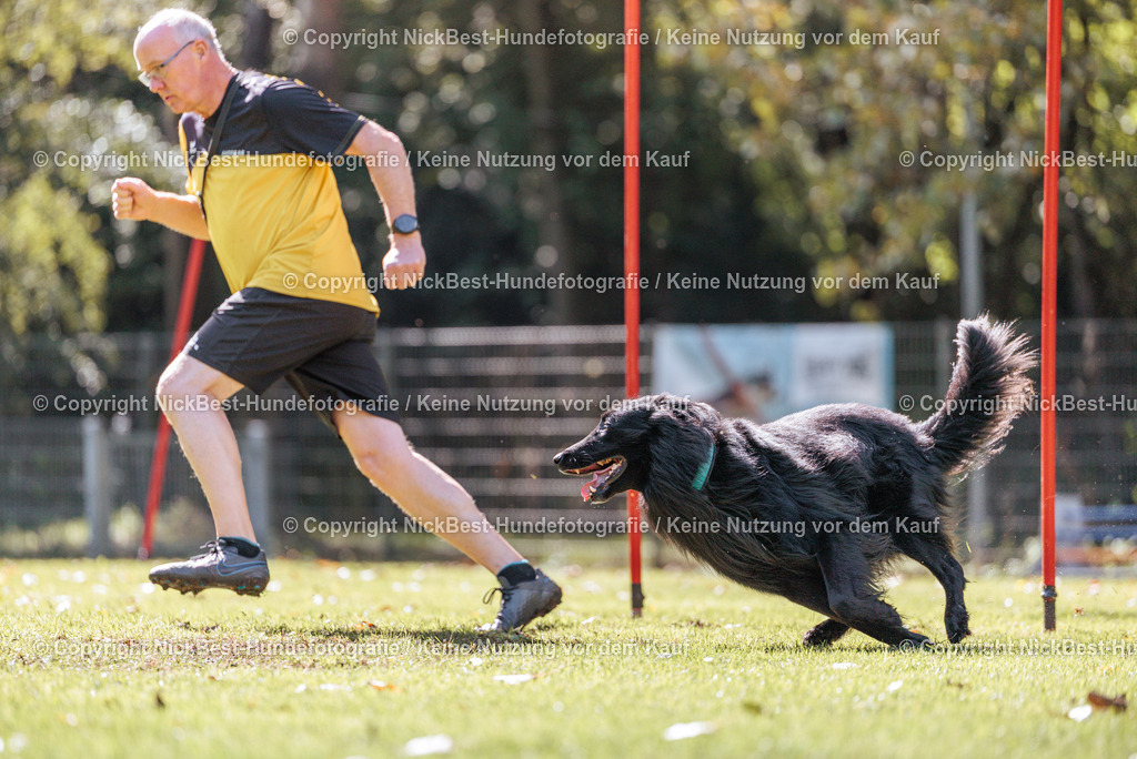 THS-HSV-Blumenthal-2026-Nickbest-Hundefotografie-3943 | Dein Hund! Dein Moment! Deine Erinnerungen! Hundefotografie in Bremen Blumenthal. Ich fange die besonderen Momente deines Vierbeiners ein – ob Indoor mit Blitzanlage oder in der freien Natur. Sicher dir dein Moment und dein Termin für eure Erinnerungen.