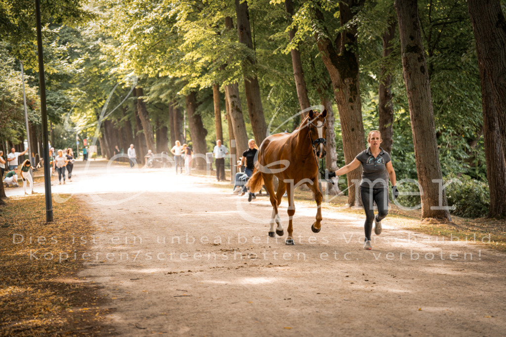 FrPfM00098 | Leoni Ertmer Photography - Realisiert mit Pictrs.com