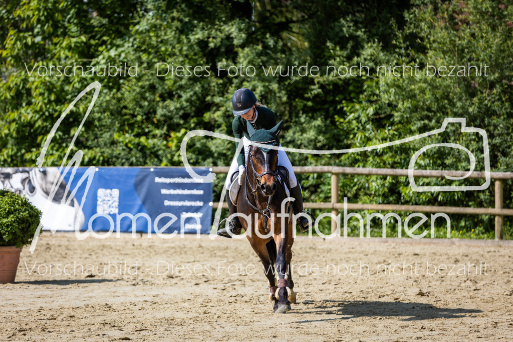 Donop24-ESpr-087 | MomenTaufnahmen Pferdesportfotos