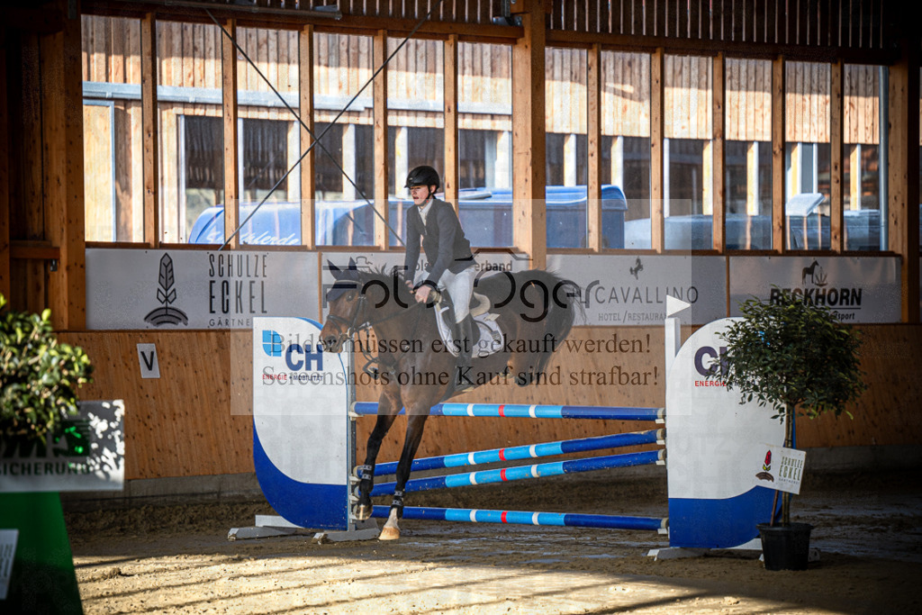 DOS_0303 | Entdecke hochwertige Reitturnierfotos von Foto Oger. Professionell, emotional und authentisch – jetzt Lieblingsmomente im Shop bestellen.Deutschlandweite Turnierfotografie. - Realisiert mit Pictrs.com