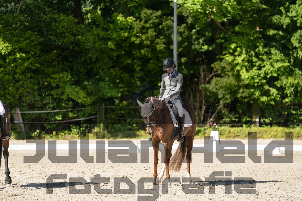 DSC00619 | Julian Held Fotografie - Realisiert mit Pictrs.com