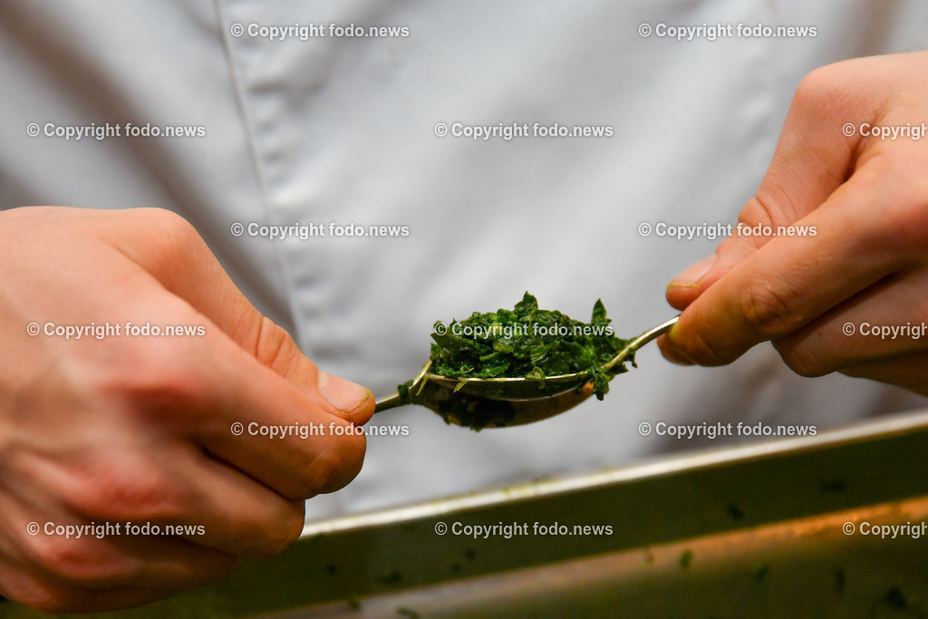 Gastronomie Hotspots_ Das Anton_ 27.02.2023-6 | 27.02.2023, Das Anton Linz, AUT, Gastronomie Hotspots, Culinary Art Festival im Bild Gruenkohlnockerl