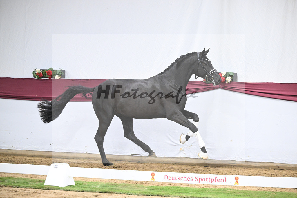 Kat-Nr. 39 Secret x Finest_Ignaz Berger_47251391 | hf-fotografie - Realisiert mit Pictrs.com