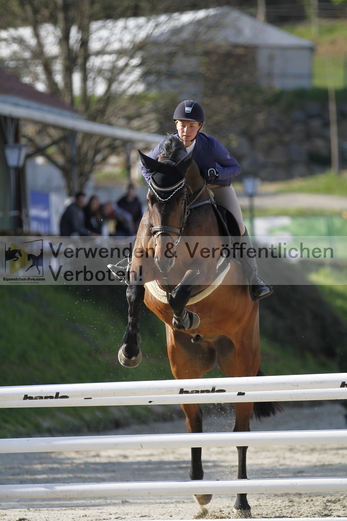 _MG_8357 | equestrian-live-com