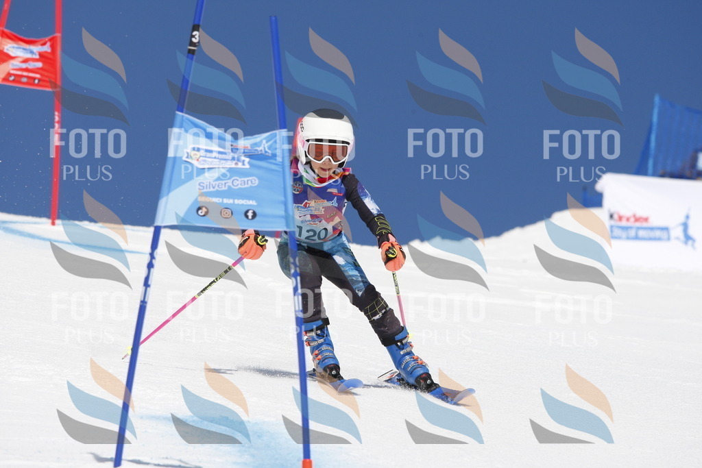 _W1G1809 | holidayphoto