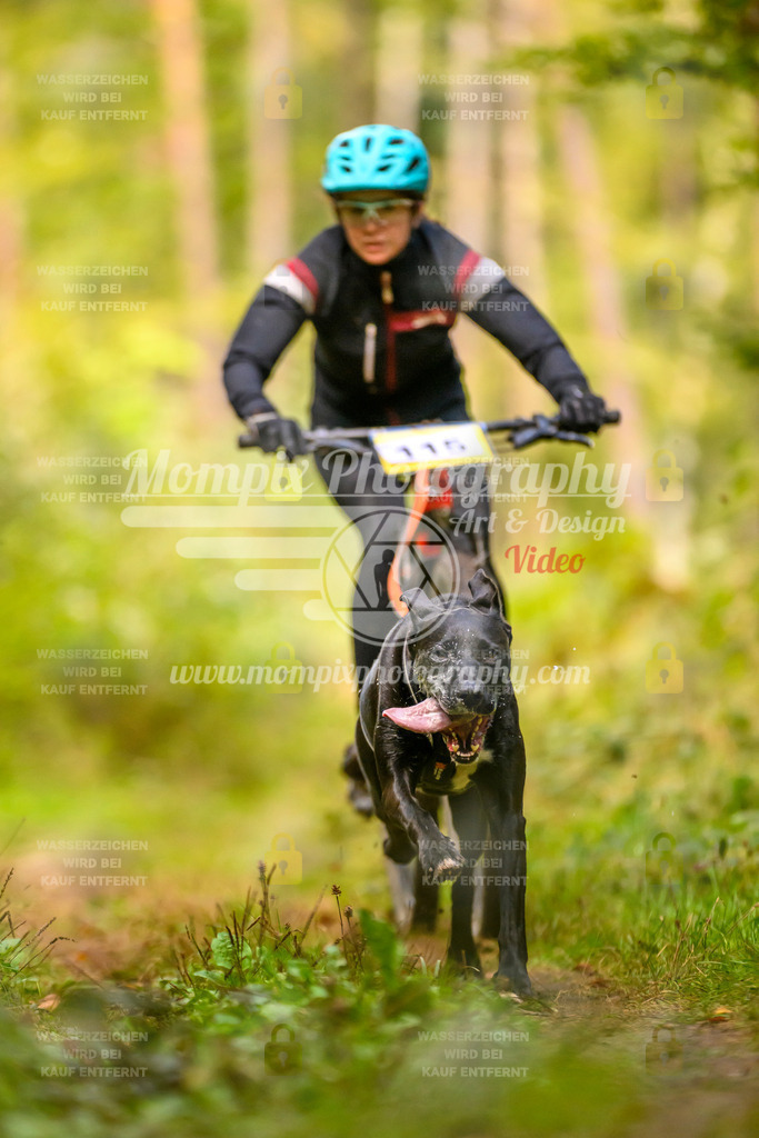 MompixPhotography_Yens2025_B2-21 | PayLife