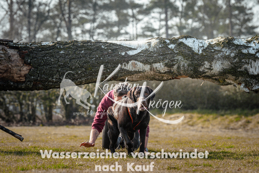 1004_ZZ90864 | kk-dogfotos