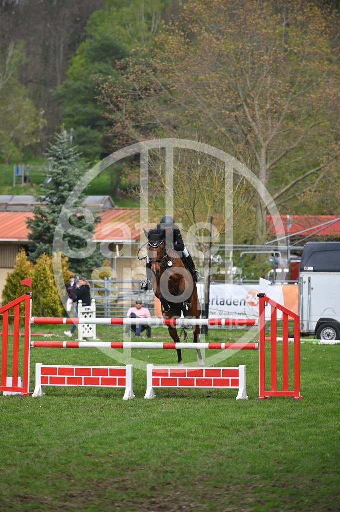 DSC_3738 | sattelsport - Realisiert mit Pictrs.com