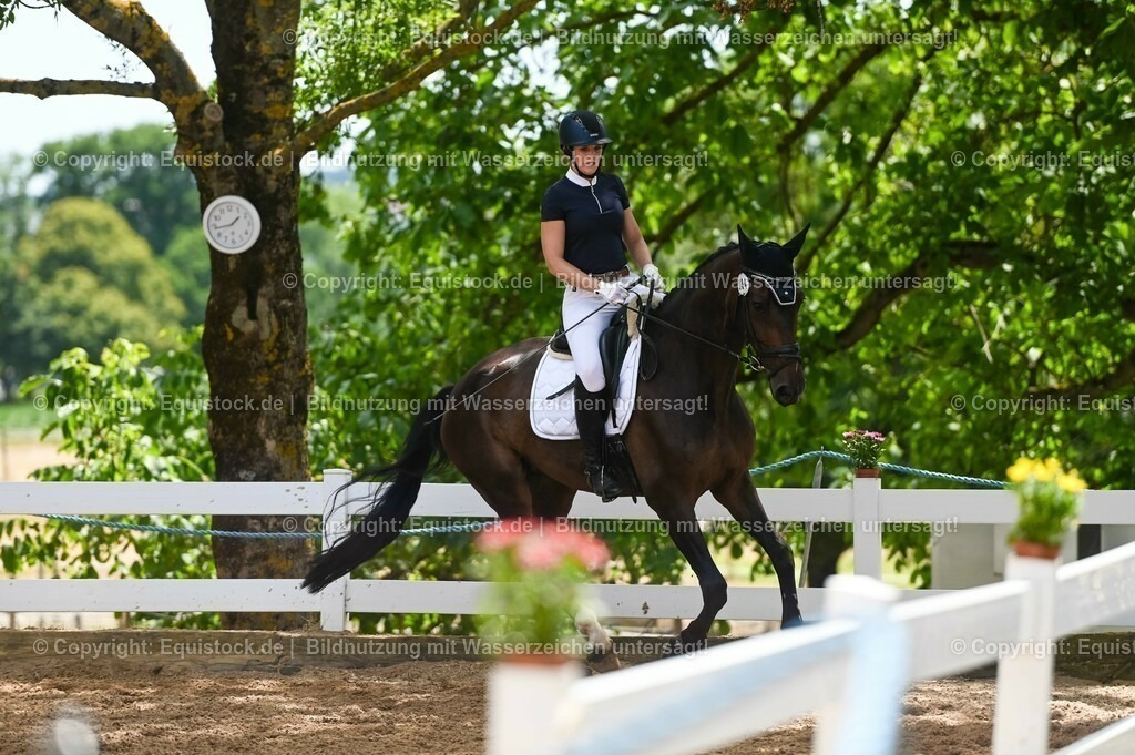 20230715_05_Dressurprüfung Kl.A++_0230 | equistock