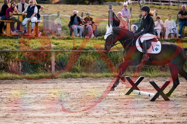 2026_10_03_Siefer-Hof_145919_Z81_41326209 | Professionelle Reitsport-, Turnier- und Eventfotografie von Robert Broda. Galerien mit ausgewählten und bearbeiteten Bildern direkt online ansehen und bestellen.