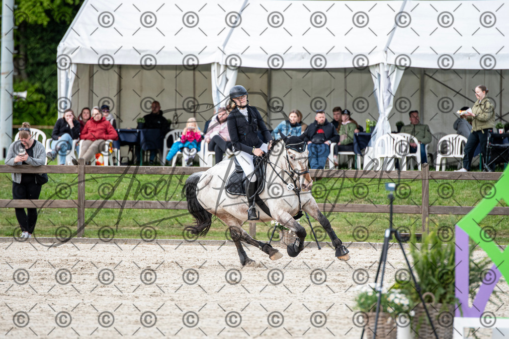 KPT_6897 | andre_photographic