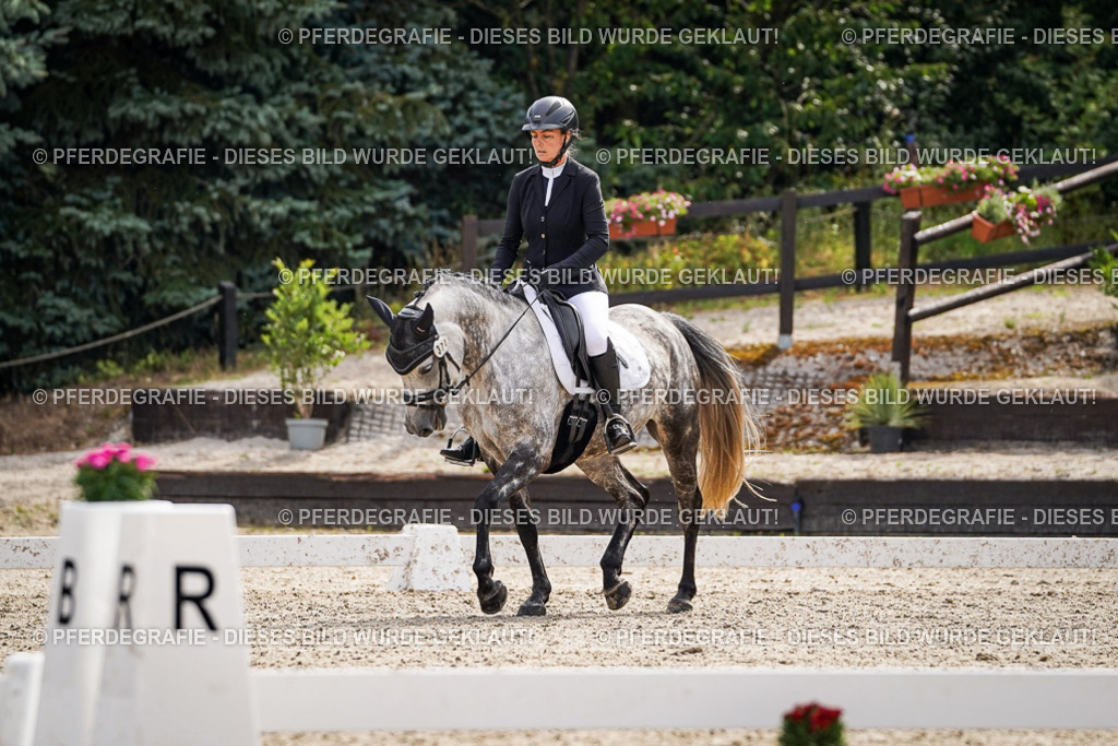 DSC07716 | Pferdegrafie