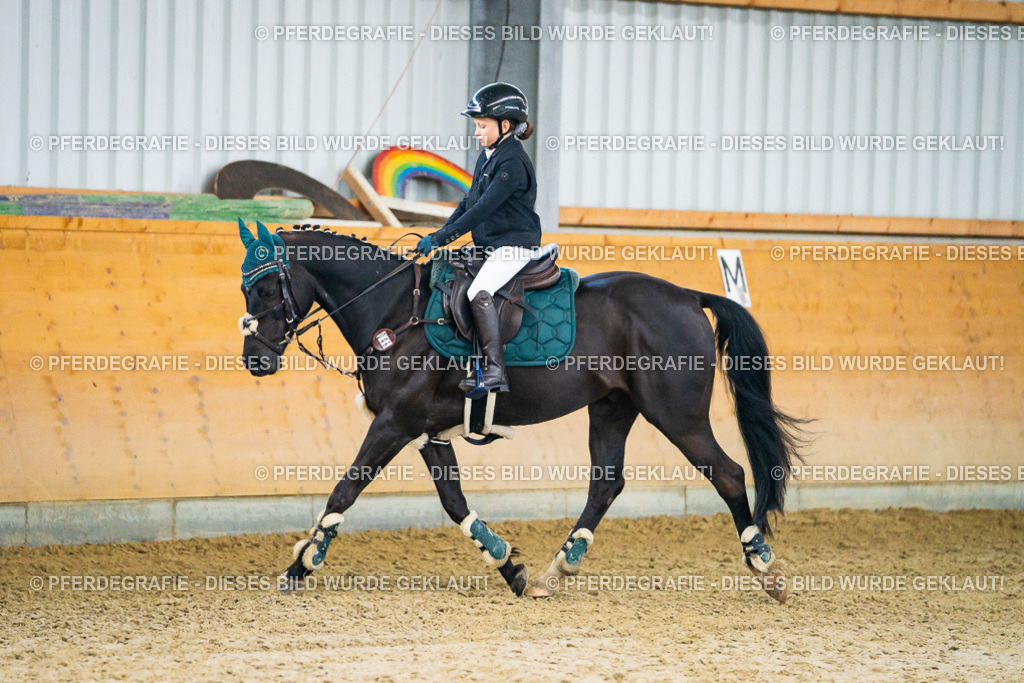 DSC00482 | Pferdegrafie