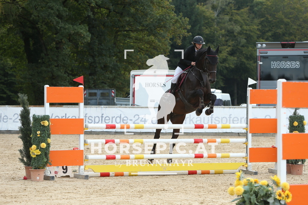 DL2Q7409 | Willkommen bei Brunnmayr - Design & Fotografie – Ihrem Spezialisten für Reitturniere und Pferdeveranstaltungen in Oberösterreich, Salzburg und Bayern! Seit über 17 Jahren sind wir leidenschaftlich dabei.