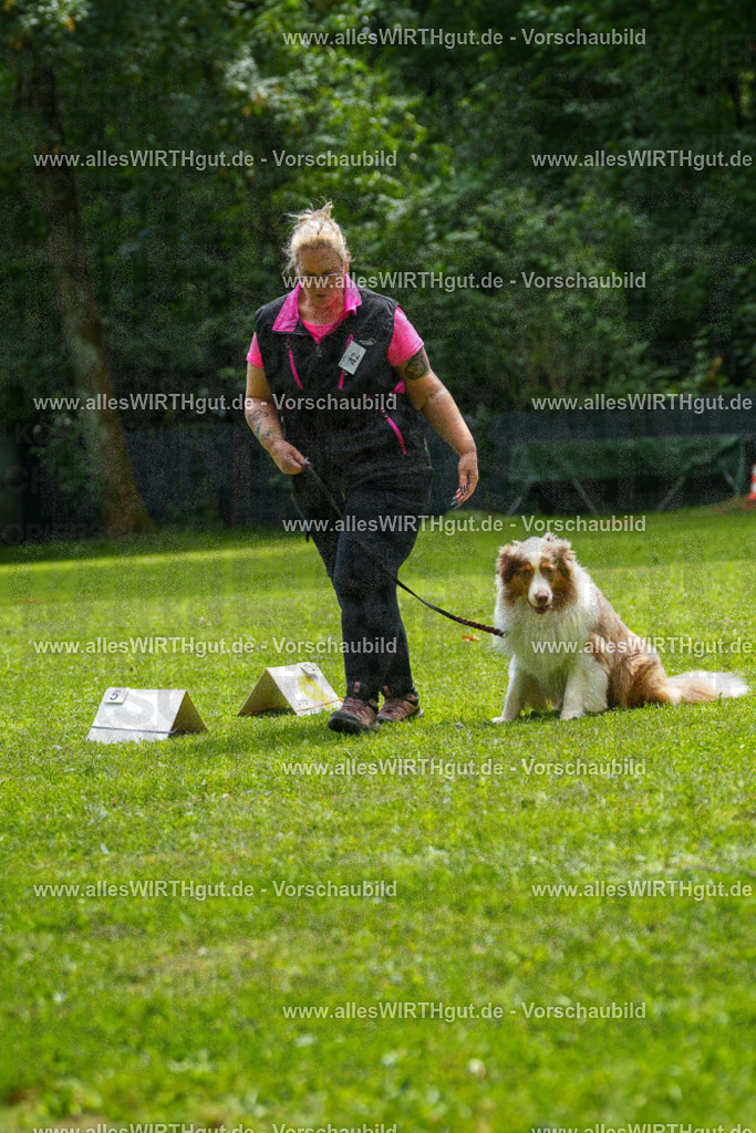 @allesWIRTHgut_Tierfotografie - www.allesWIRTHgut.de - 7R505010 | Professionelle Tierfotografie in Mönchengladbach von Daniel Wirth (allesWIRTHgut). Liebevolle & natürliche Bilder von Hunden & Katzen für unvergessliche Erinnerungen.