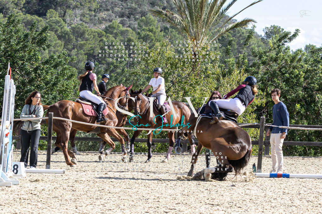 IMG_0354 | s-jay-photography - Realisiert mit Pictrs.com