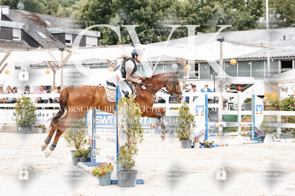 CK907904 | Turnierfotografie Pferdefotografie Trier Rheinland-Pfalz Pferdesport Reitsport Tierfotografie Sportfotografie Pferdevideo Pferdevideografie Equestrianvideography equestrianphotography  - Realisiert mit Pictrs.com