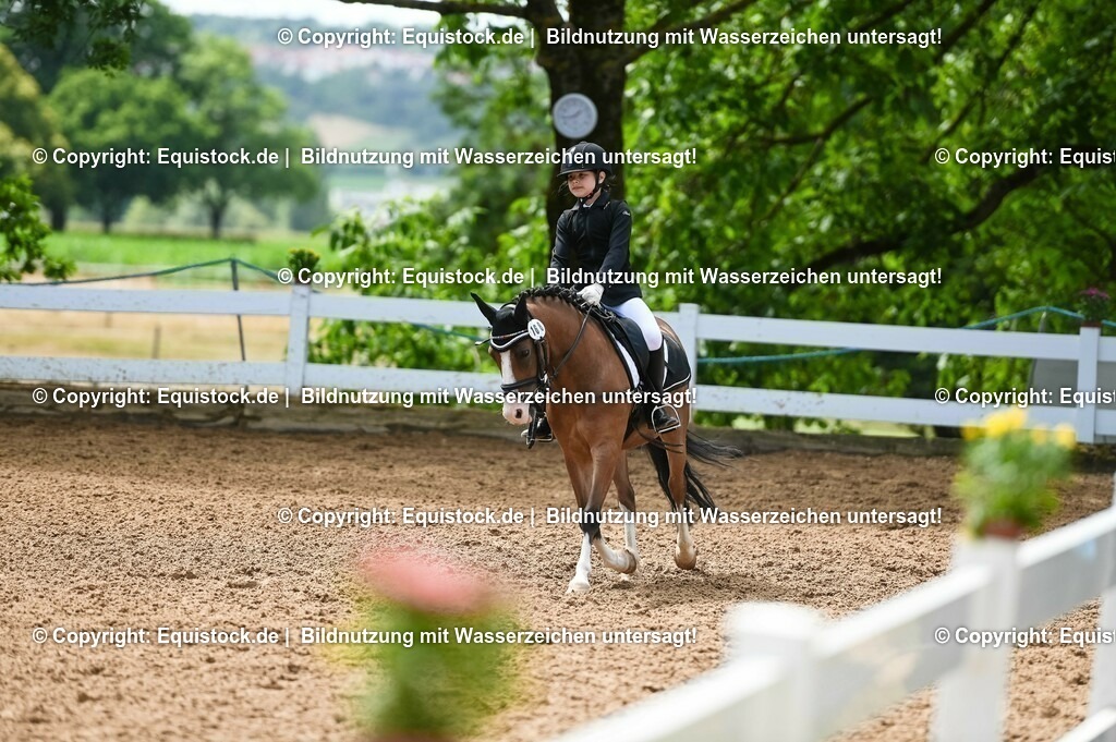 20230716_10-3_Reiter-WB Schritt - Trab - Galopp_0145 | equistock