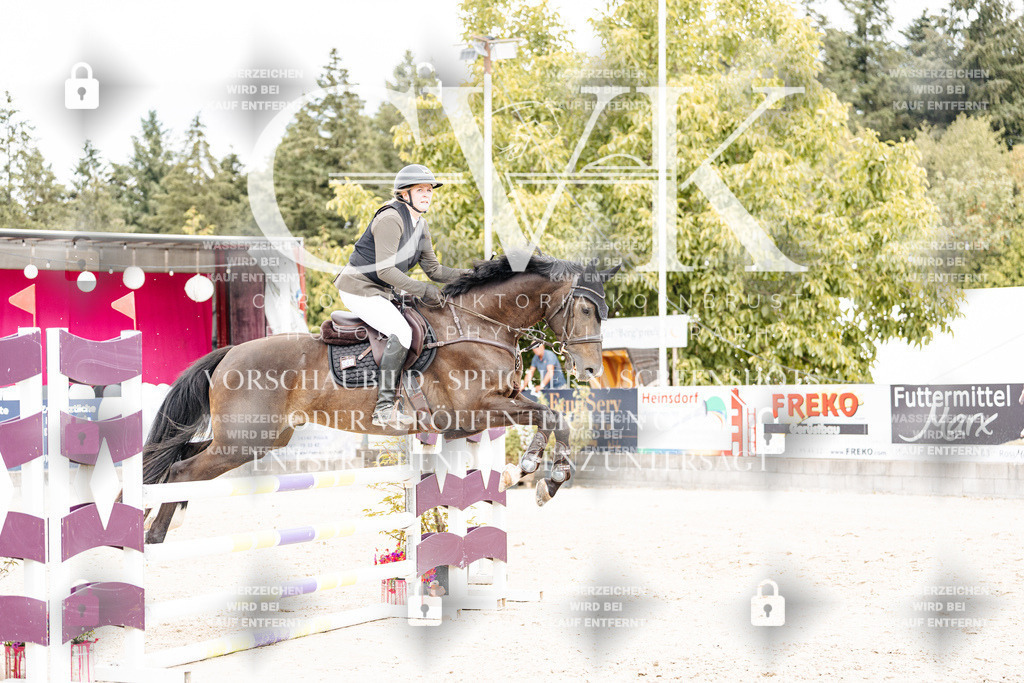 CK909341 | Turnierfotografie Pferdefotografie Trier Rheinland-Pfalz Pferdesport Reitsport Tierfotografie Sportfotografie Pferdevideo Pferdevideografie Equestrianvideography equestrianphotography  - Realisiert mit Pictrs.com