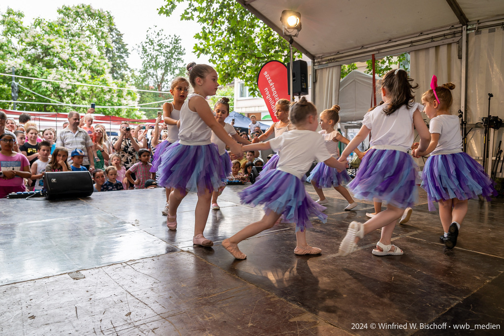 231_DSC_5946 | <Fotografie> <Video> <Film> <Winfried Bischoff> - Realisiert mit Pictrs.com