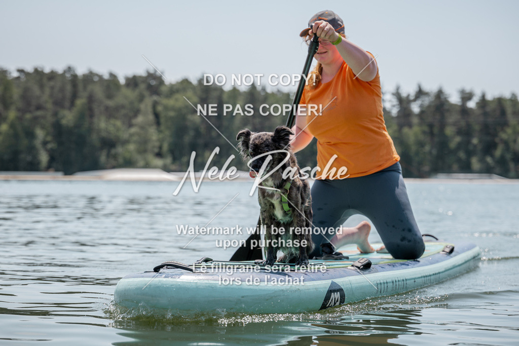 nelerasche_saSUP1_131 | nelerasche