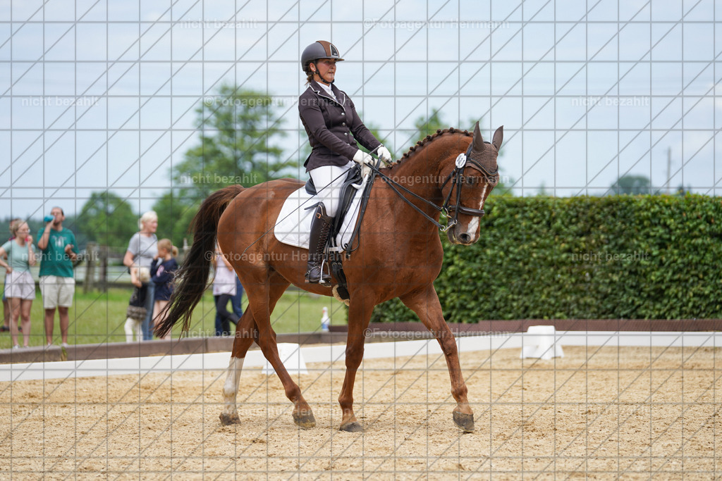 20240630-FAH02100 | Turnierbilder Schwabmünchen, Dressurbilder, Springreitturnier, Reitsportbilder, Turnierfotografen Bayern, Turnierfotograf