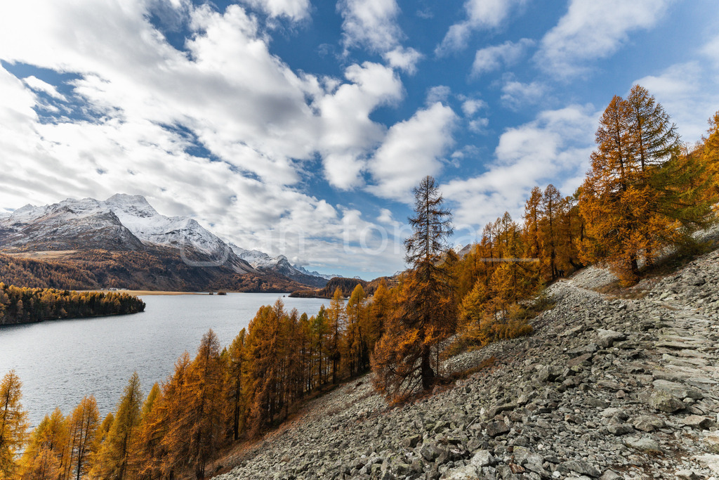 JB3A5788 | antonija-trupina - Realisiert mit Pictrs.com