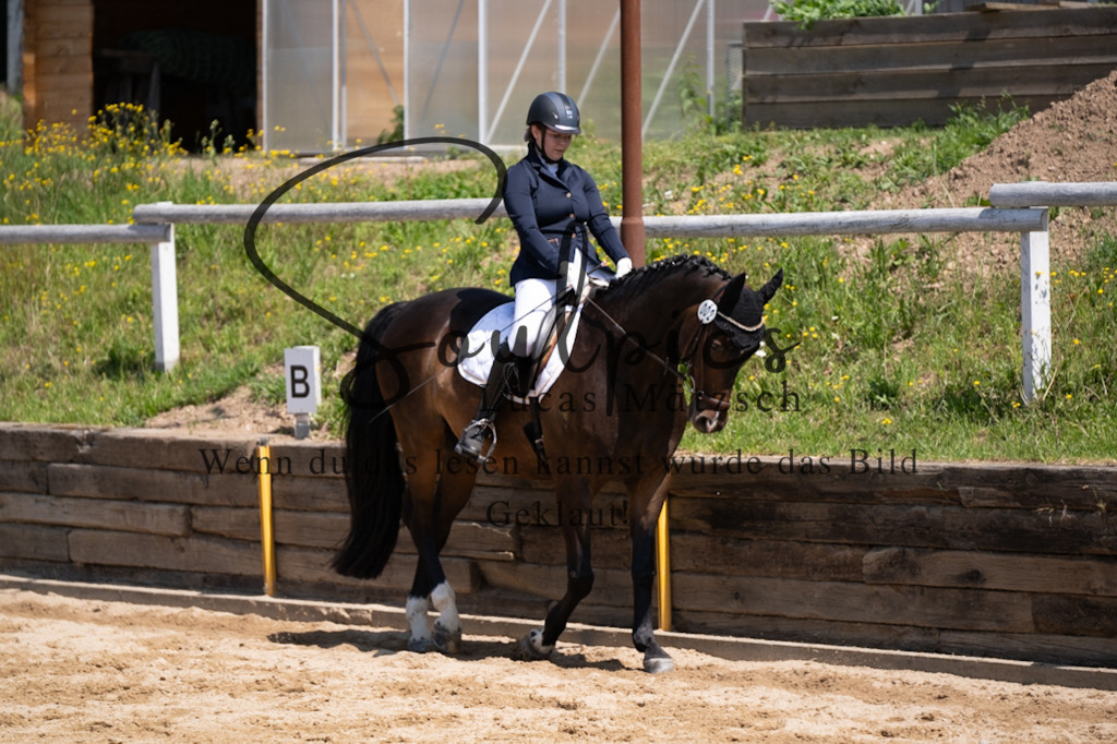 A7V08046 | Pferdefotograf