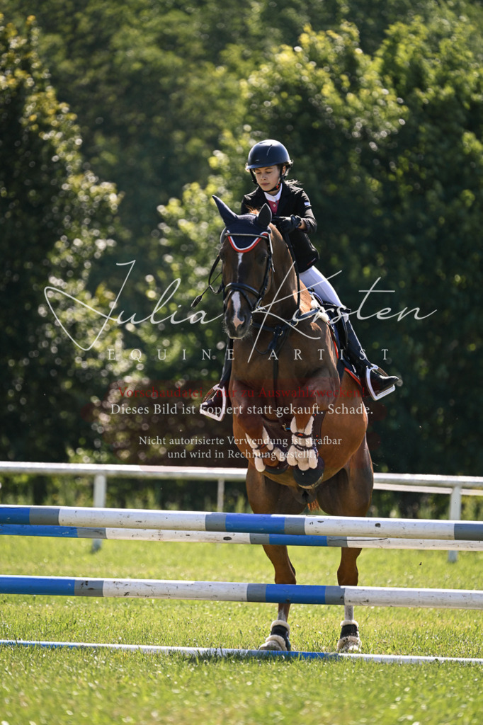 DSC_8746 | Pferde- und Turnierfotografie in Westsachsen. Pferdeportraits, Auftragszeichnungen und intuitive Kunst.