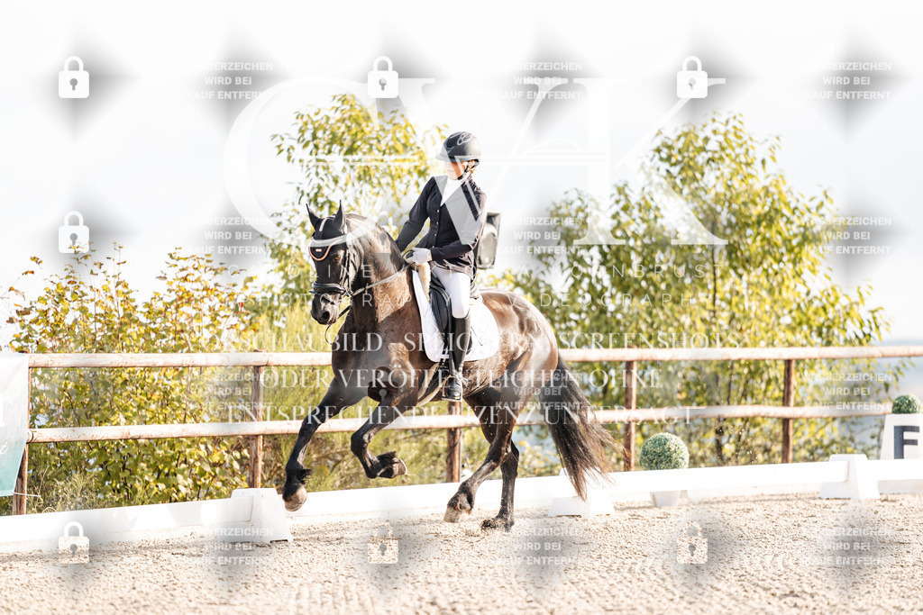 CK900347 | Turnierfotografie Pferdefotografie Trier Rheinland-Pfalz Pferdesport Reitsport Tierfotografie Sportfotografie Pferdevideo Pferdevideografie Equestrianvideography equestrianphotography  - Realisiert mit Pictrs.com