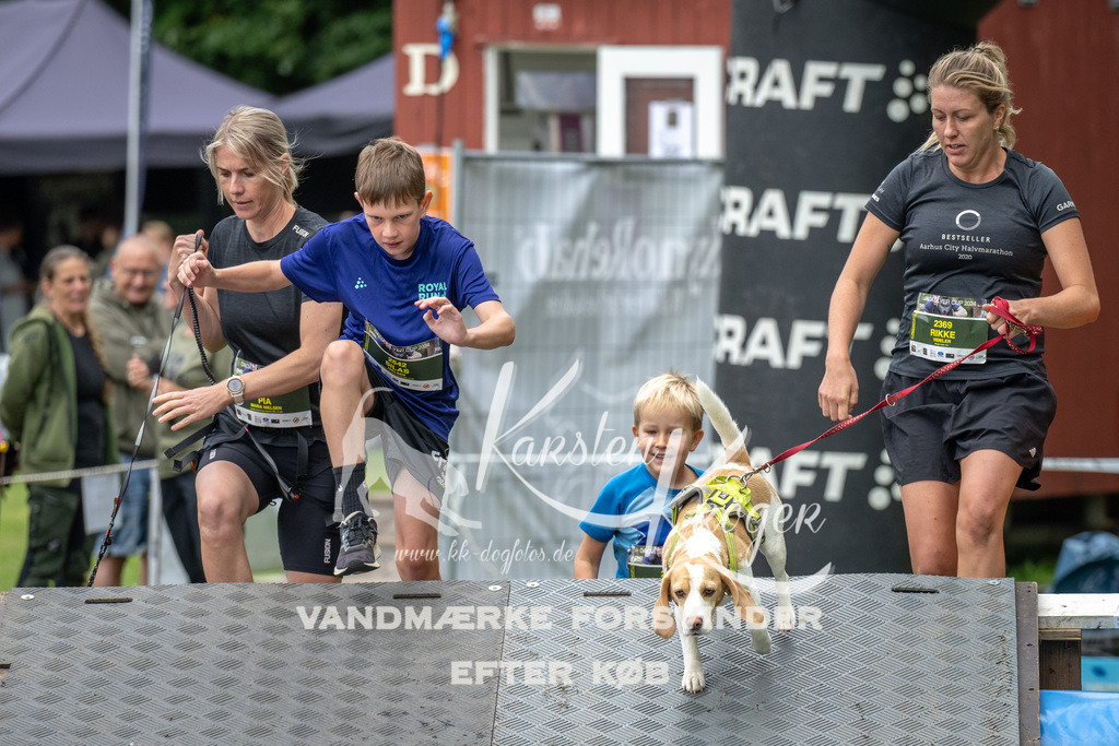 1436_ZZ91545 | kk-dogfotos