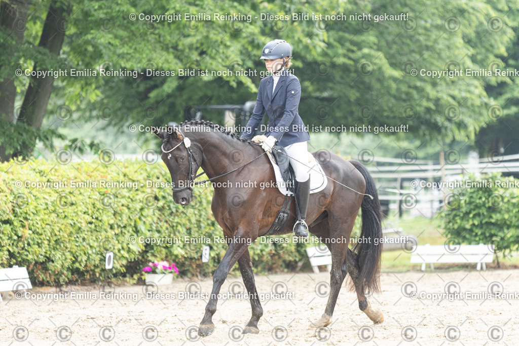 CL5A3141 | Emilia Reinking Fotografie - Realisiert mit Pictrs.com