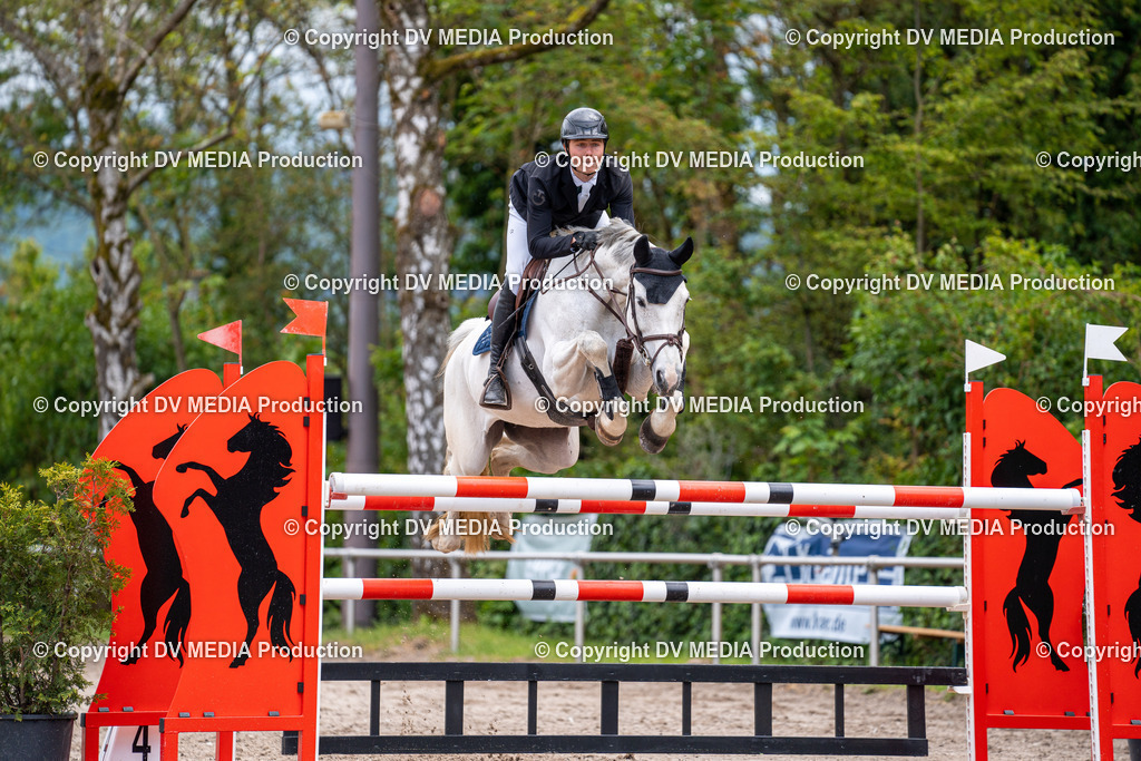 Eppelheim Tag 1-220 | dv-media-shop - Realisiert mit Pictrs.com