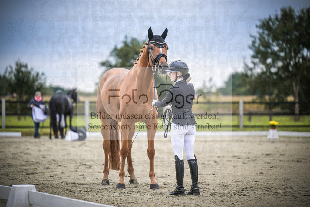 DOS_1679 | Entdecke hochwertige Reitturnierfotos von Foto Oger. Professionell, emotional und authentisch – jetzt Lieblingsmomente im Shop bestellen.Deutschlandweite Turnierfotografie. - Realisiert mit Pictrs.com