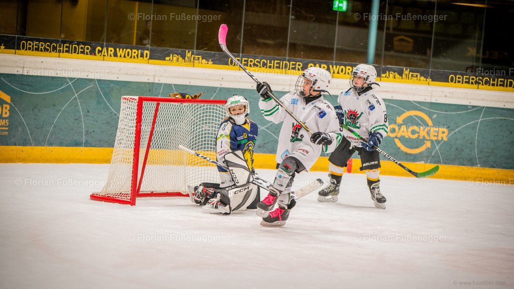 6781F294-9AD2-4C54-99E7-C14286FEA2AC | "Fussifoto.com – Ihr Ansprechpartner für hochwertige Fotografie! Entdecken Sie kreative Bilder und professionelle Dienstleistungen. Kontaktieren Sie uns für Ihre Projekte!"