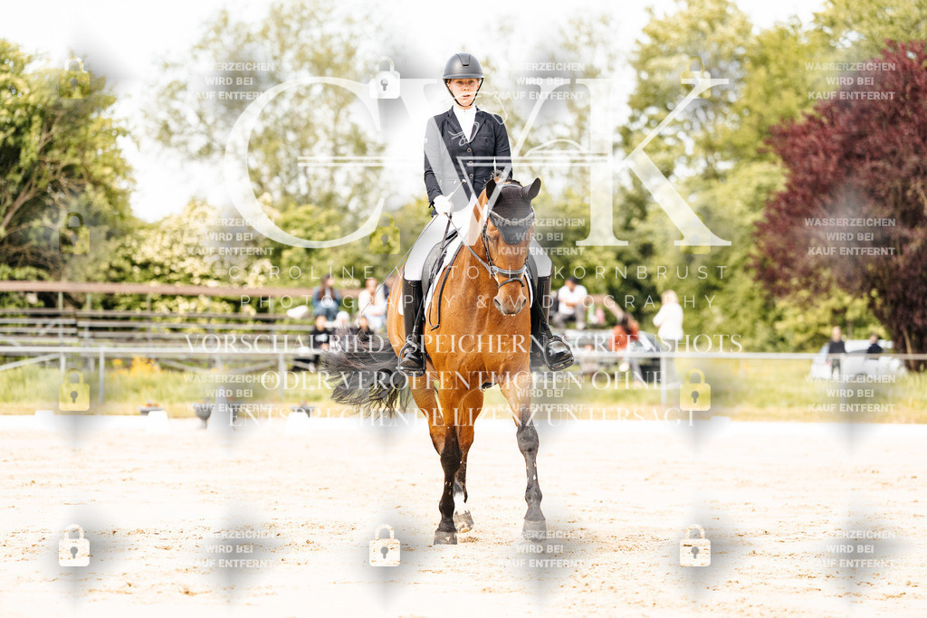 CK900919 | Turnierfotografie Pferdefotografie Trier Rheinland-Pfalz Pferdesport Reitsport Tierfotografie Sportfotografie Pferdevideo Pferdevideografie Equestrianvideography equestrianphotography  - Realisiert mit Pictrs.com