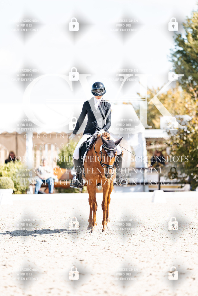 CK903641 | Turnierfotografie Pferdefotografie Trier Rheinland-Pfalz Pferdesport Reitsport Tierfotografie Sportfotografie Pferdevideo Pferdevideografie Equestrianvideography equestrianphotography  - Realisiert mit Pictrs.com